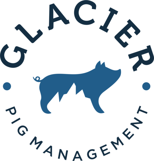 Glacier Pig Management 