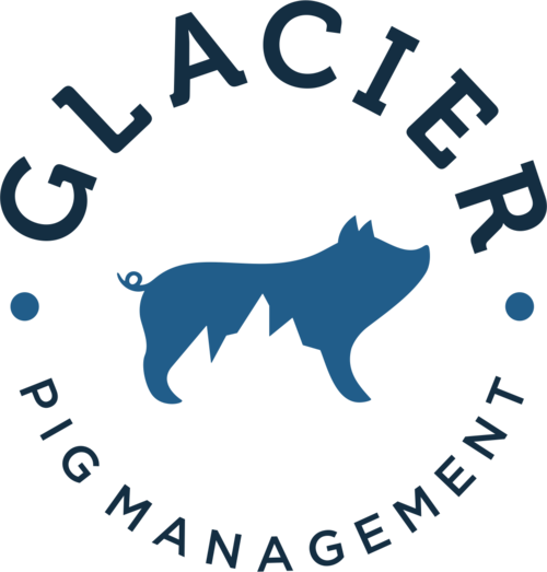 Glacier Pig Management